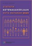 Mataram City Employment Statistics 2020