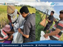 Pengumpulan Data Statistik Pertanian Tanaman Pangan Terintegrasi dengan Metode Kerangka Sampel Area 