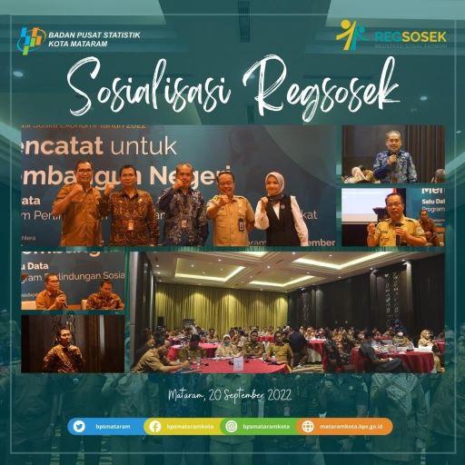 Sosialisasi Regsosek